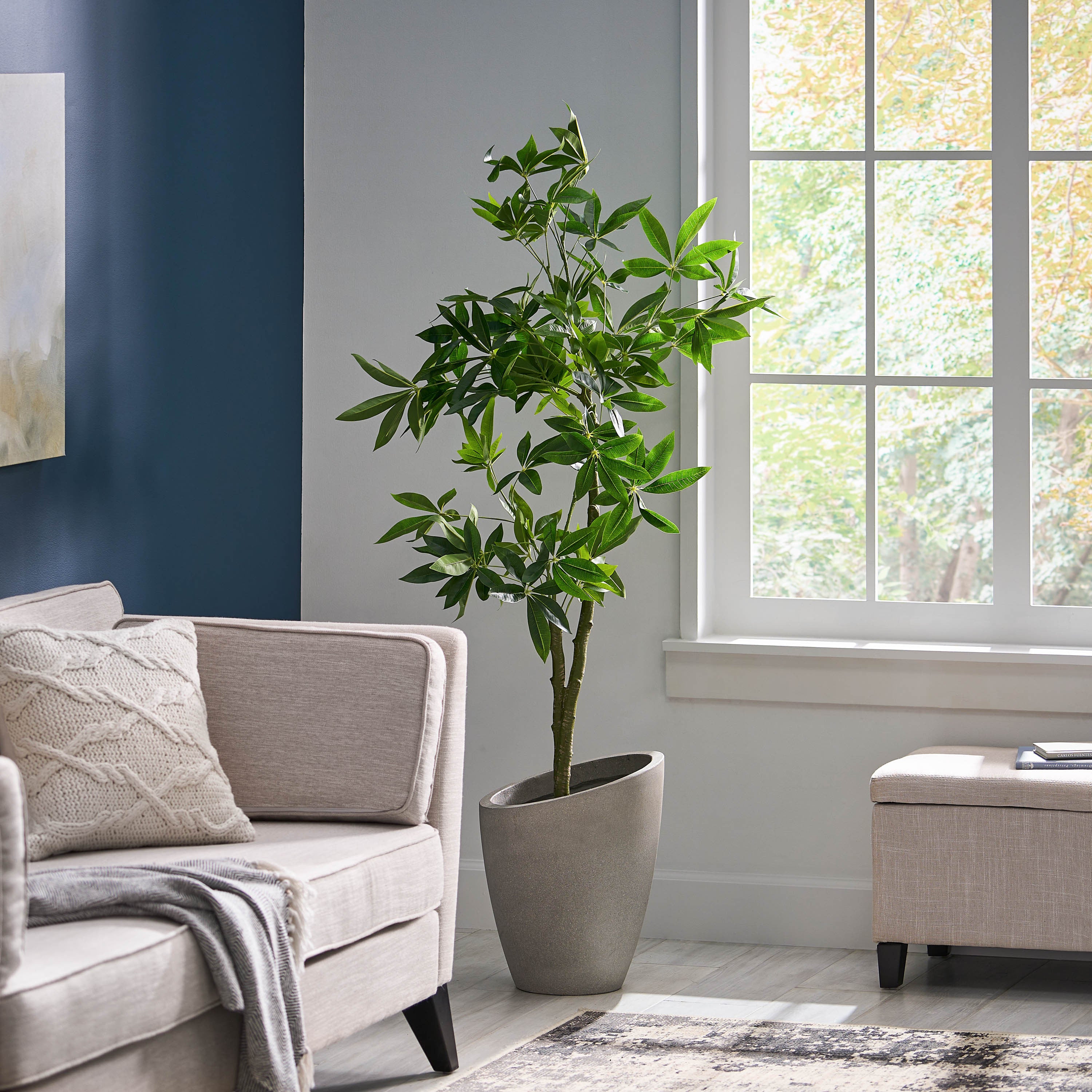 160 cm Artificial Pachira Macrocarpa | Keeno Decor