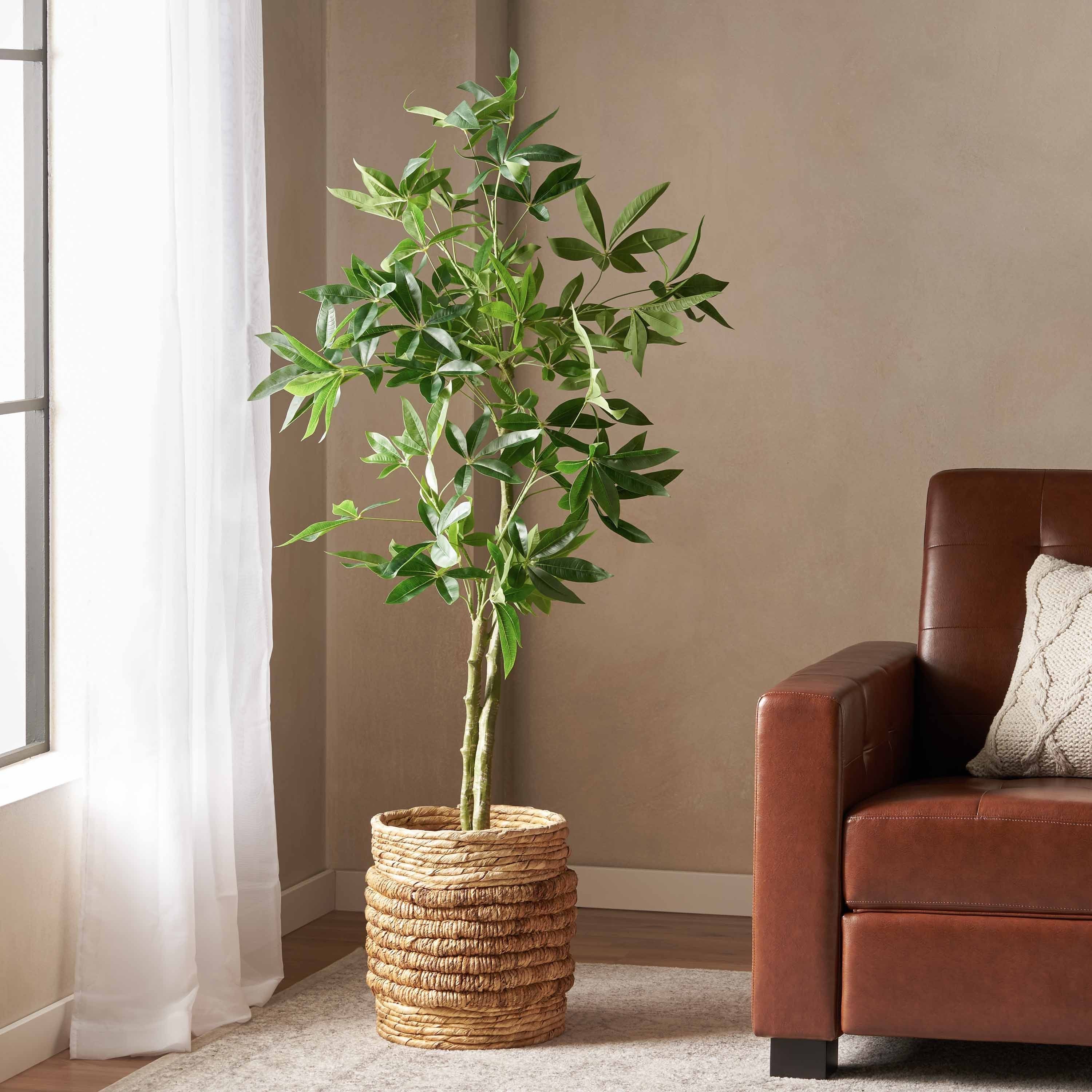 160 cm Artificial Pachira Macrocarpa | Keeno Decor