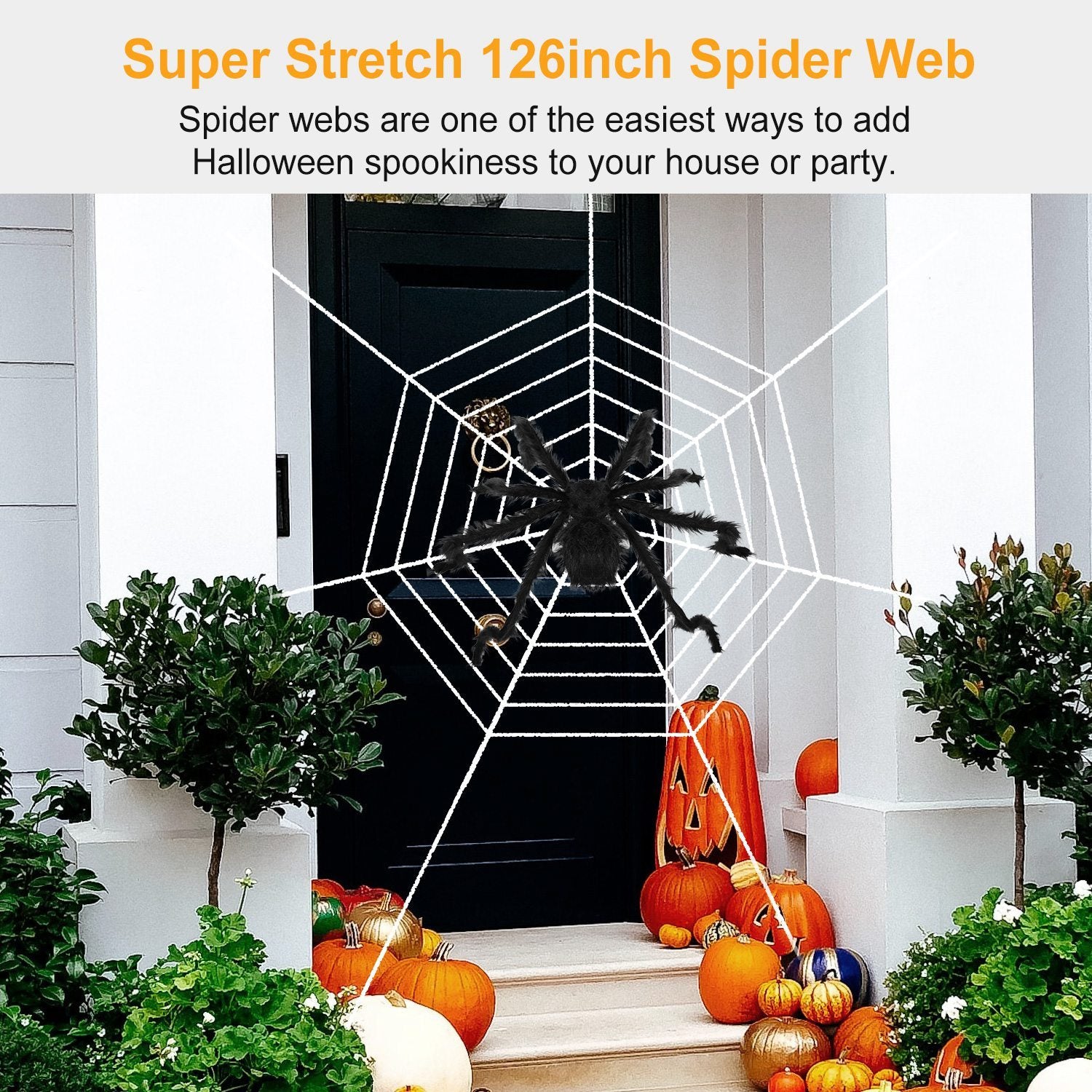 poseable tarantula spider with 126 inch mega spider-web USA