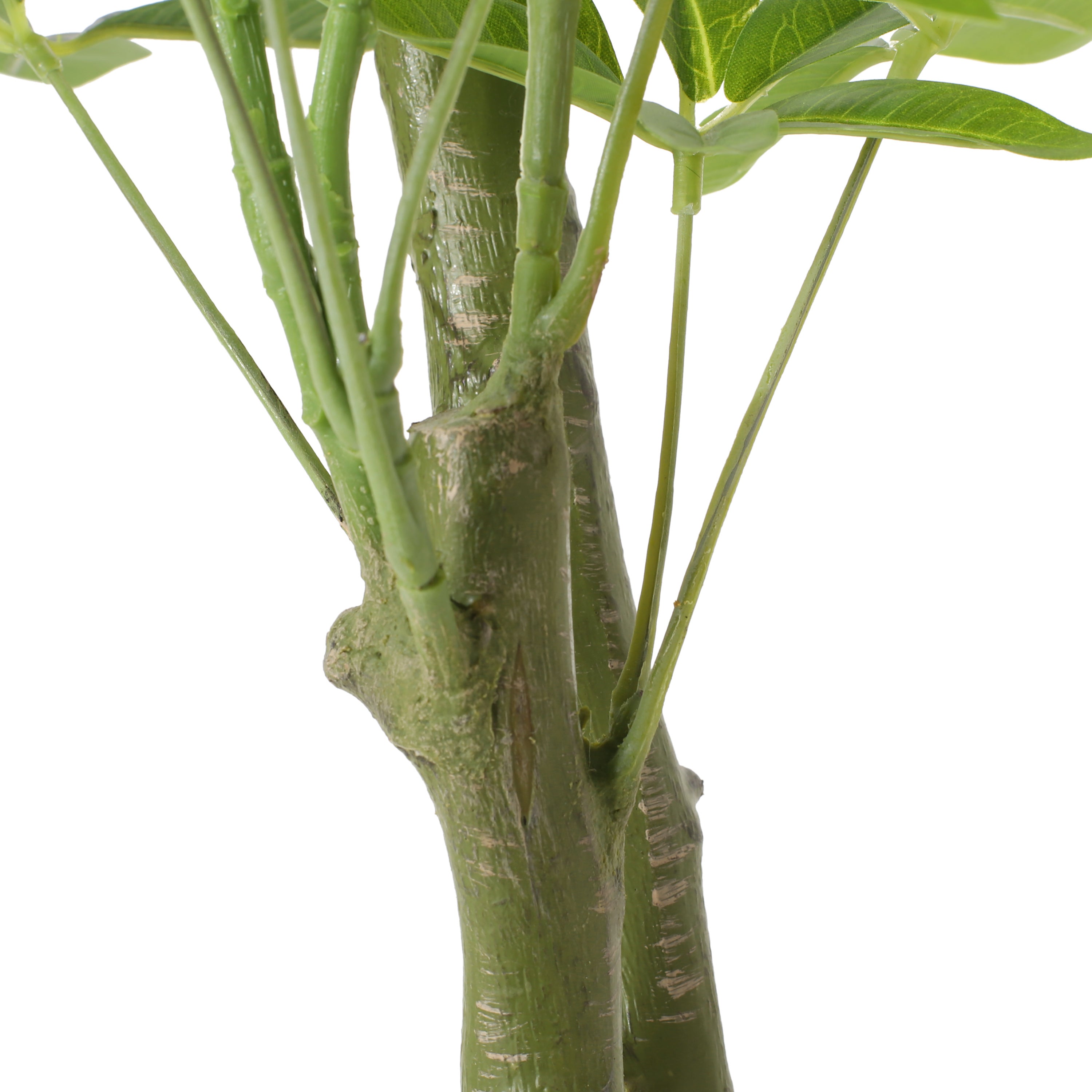 160 cm Artificial Pachira Macrocarpa | Keeno Decor