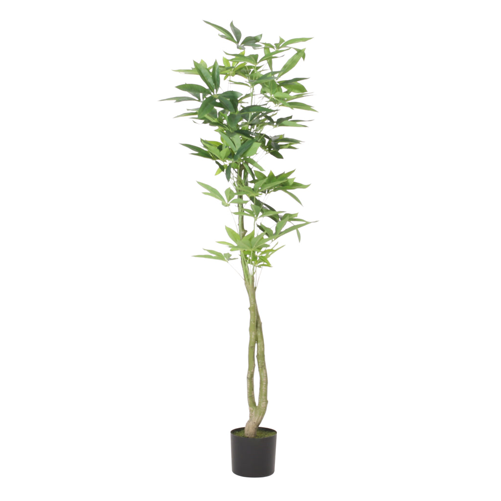 160 cm Artificial Pachira Macrocarpa | Keeno Decor