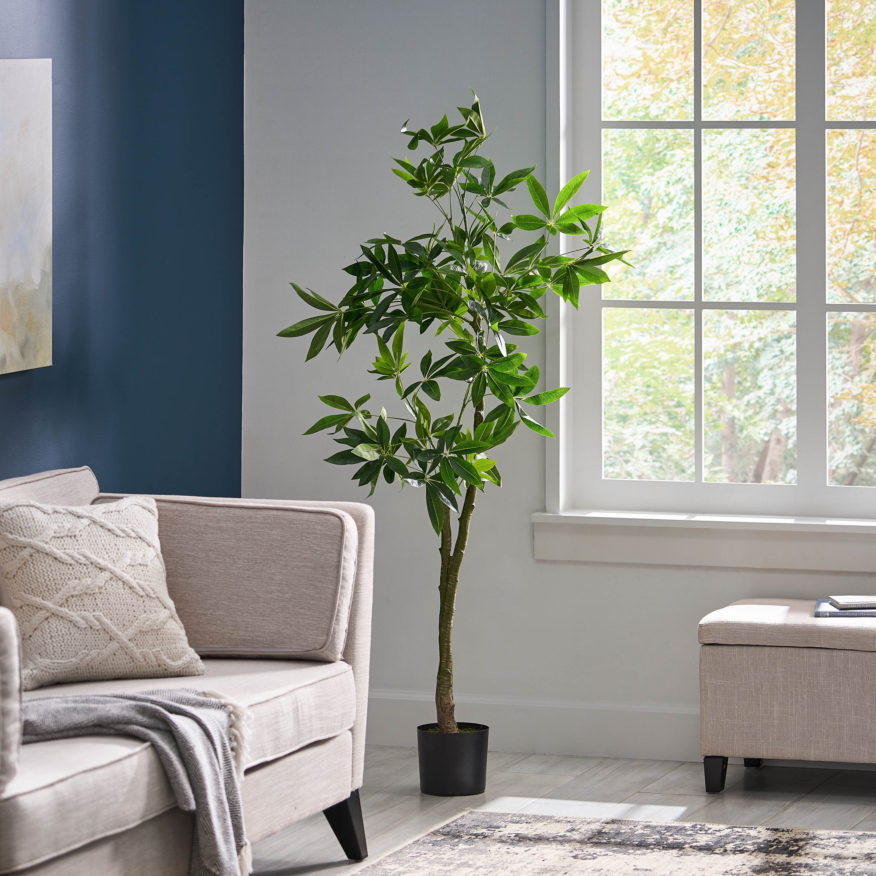 160 cm Artificial Pachira Macrocarpa | Keeno Decor