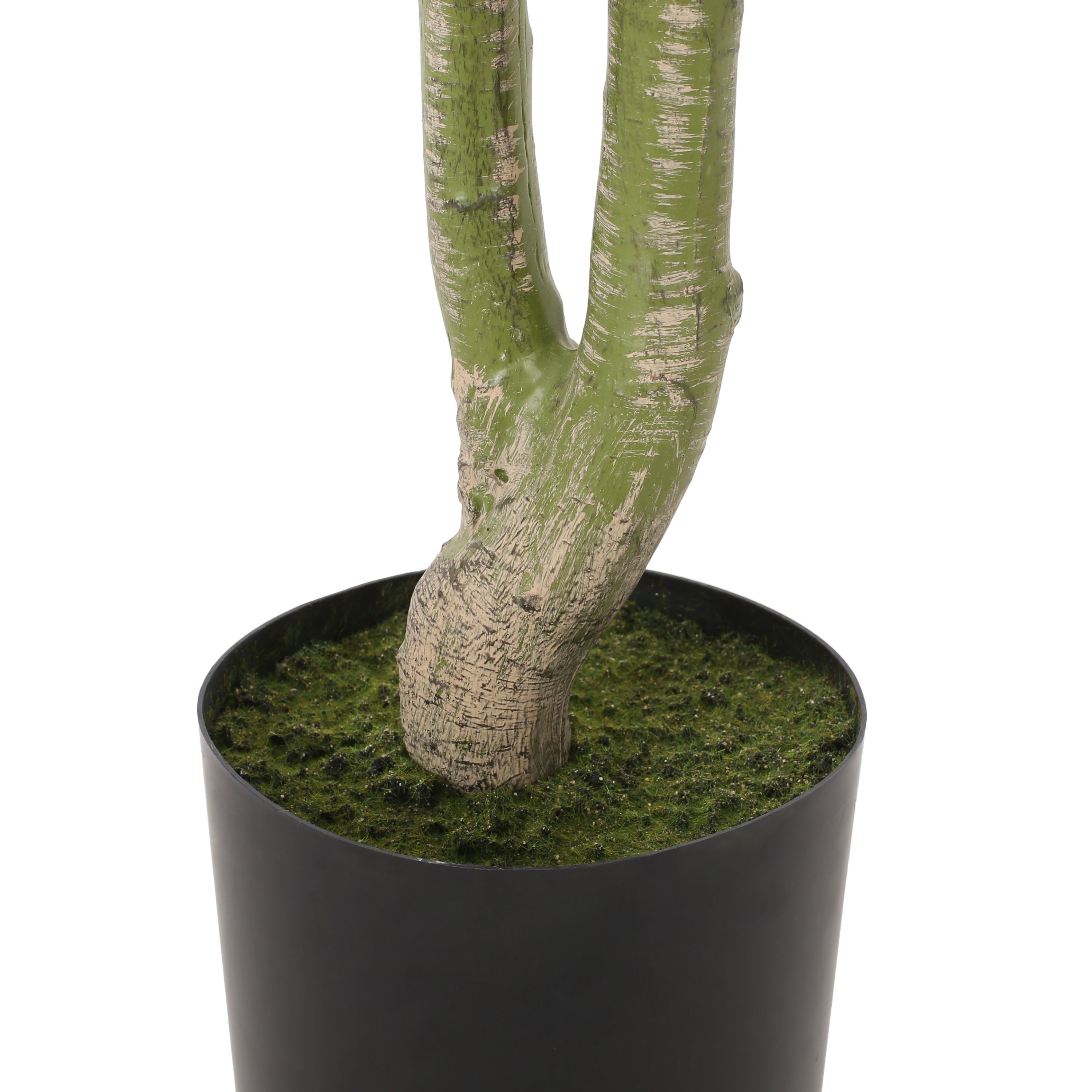 160 cm Artificial Pachira Macrocarpa | Keeno Decor