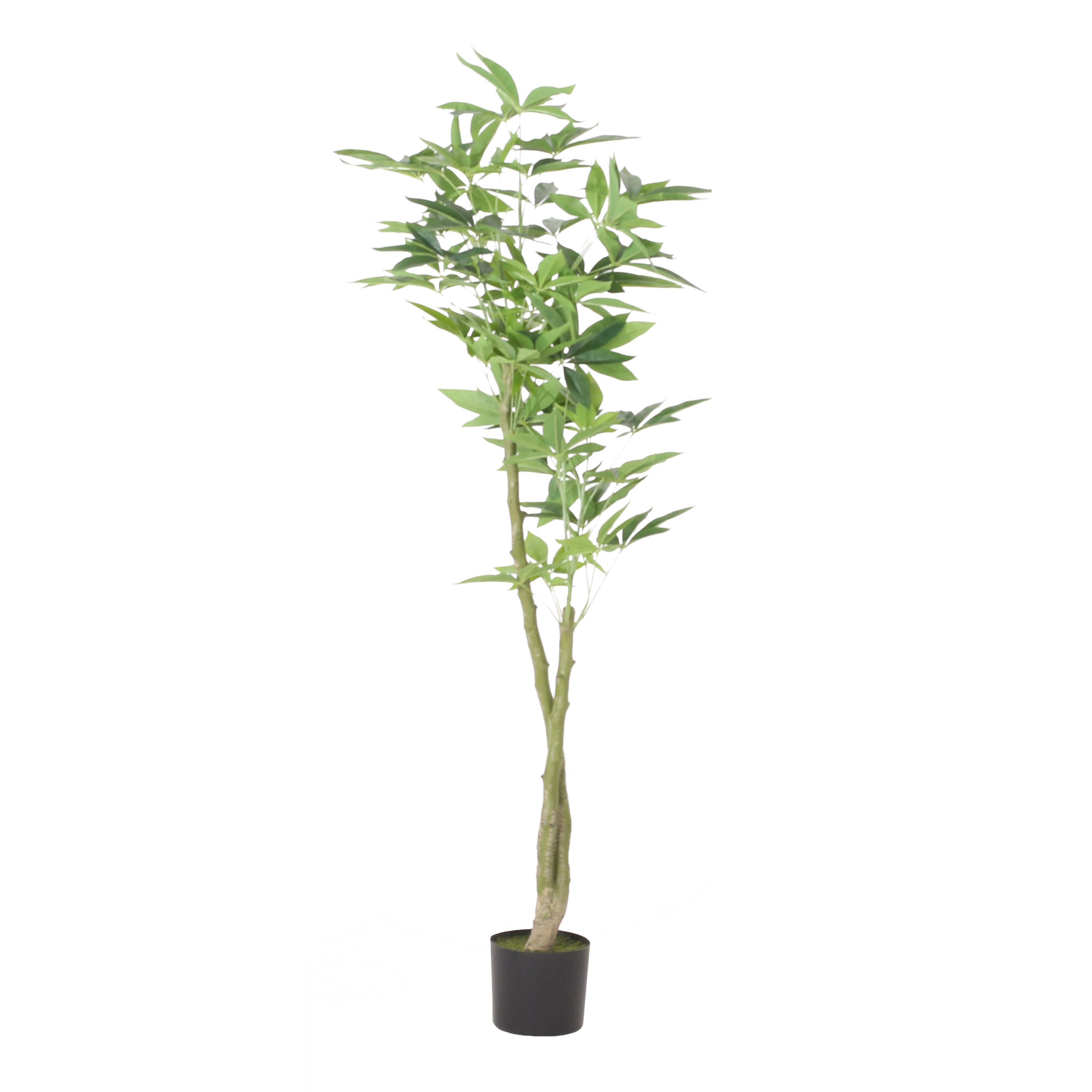 160 cm Artificial Pachira Macrocarpa | Keeno Decor
