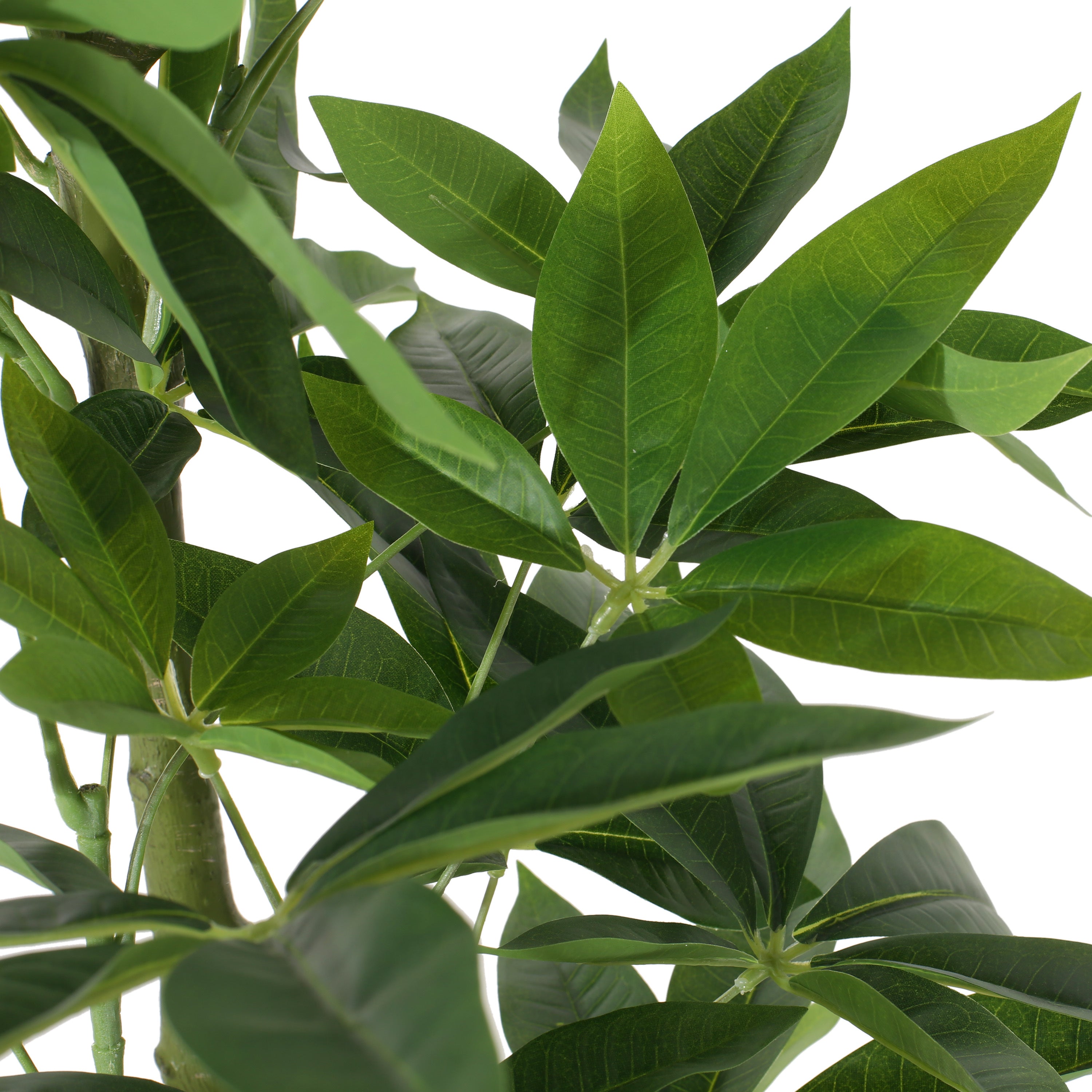 160 cm Artificial Pachira Macrocarpa | Keeno Decor